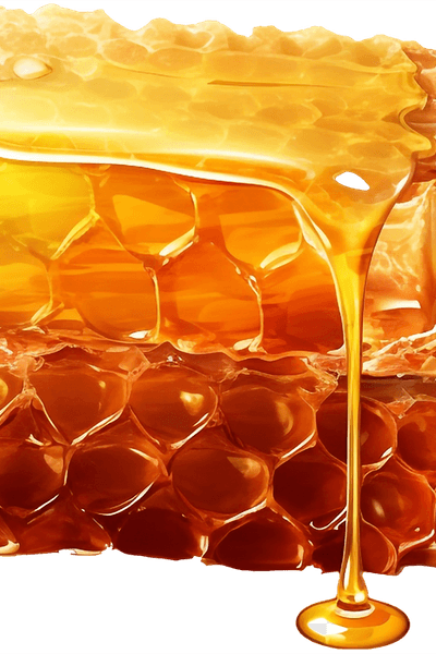 Raw pure honey